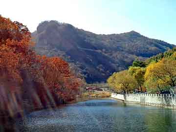 澳门二四六天天彩图库，天涯虚拟社区